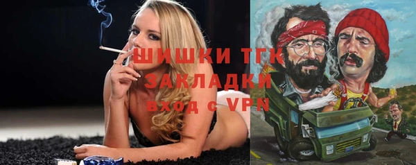 альфа пвп Гусев
