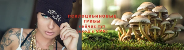 винт Гусь-Хрустальный