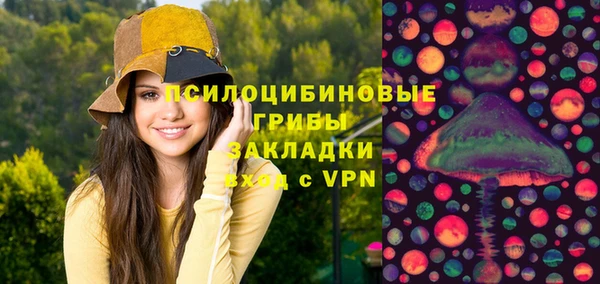 альфа пвп Гусев