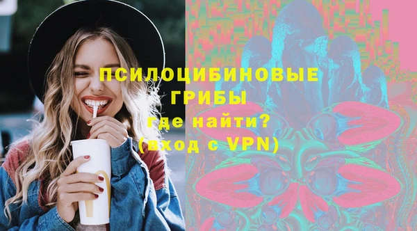 винт Гусь-Хрустальный