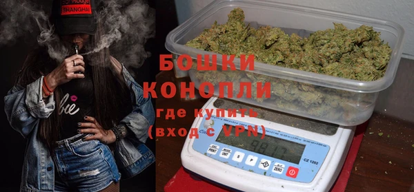 альфа пвп Гусев