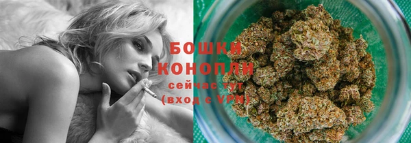 альфа пвп Гусев