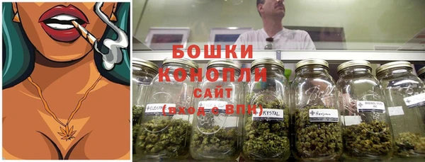винт Гусь-Хрустальный