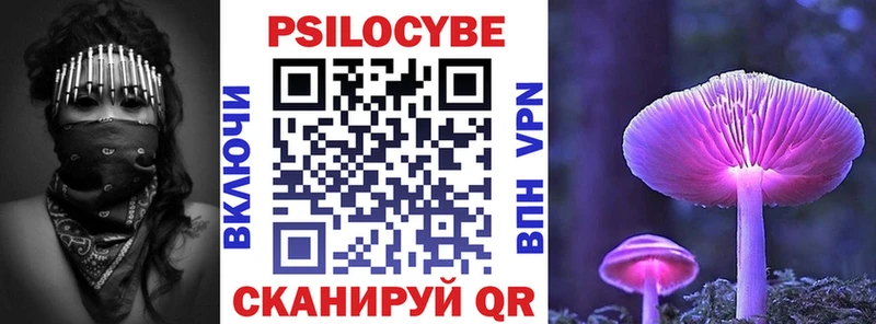 сайты даркнета наркотические препараты  дарнет шоп  mega ССЫЛКА  Чулым  Псилоцибиновые грибы Psilocybine cubensis 